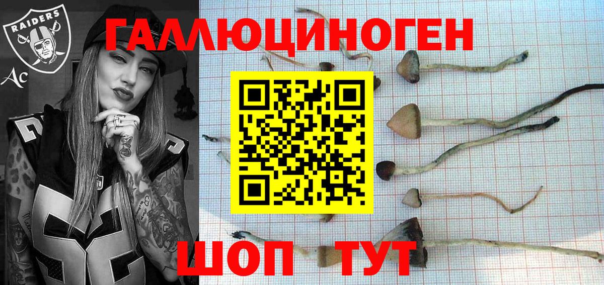 Псилоцибиновые грибы прущие грибы  Псилоцибиновые грибы Psilocybe  Вход с VPN  Георгиевск 